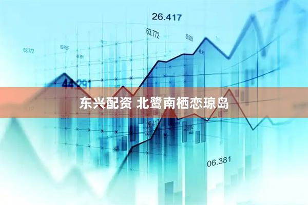 东兴配资 北鹭南栖恋琼岛
