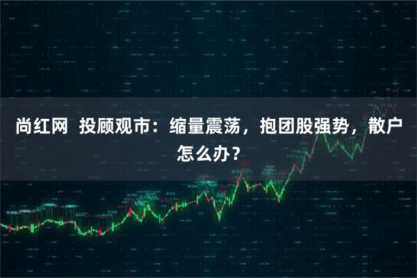 尚红网  投顾观市：缩量震荡，抱团股强势，散户怎么办？